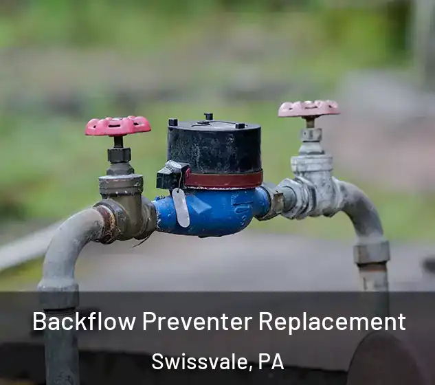  Backflow Preventer Replacement Swissvale, PA