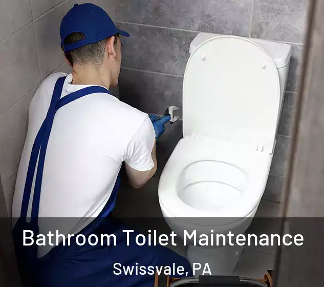  Bathroom Toilet Maintenance Swissvale, PA