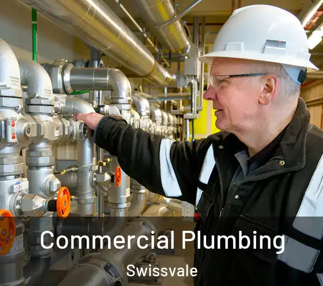  Commercial Plumbing Swissvale