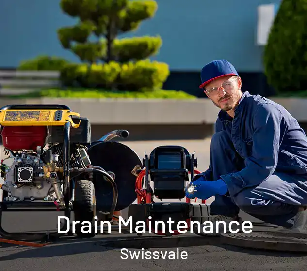  Drain Maintenance Swissvale