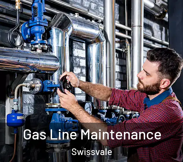  Gas Line Maintenance Swissvale