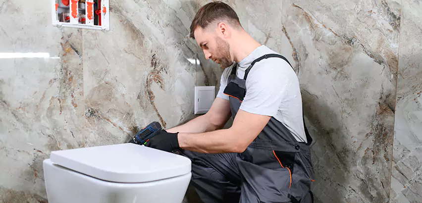 Scope of Bathroom Toilet Replacement Services in Swissvale, PA