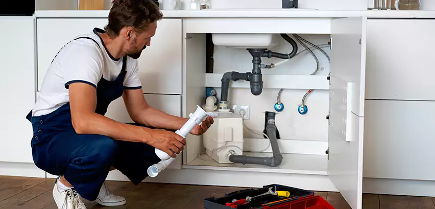 Scope of Kitchen Garbage Disposal Replacement Services in Swissvale, PA