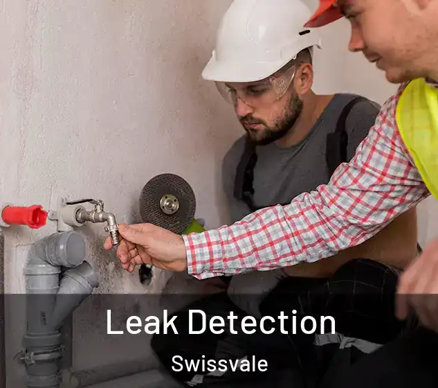  Leak Detection Swissvale
