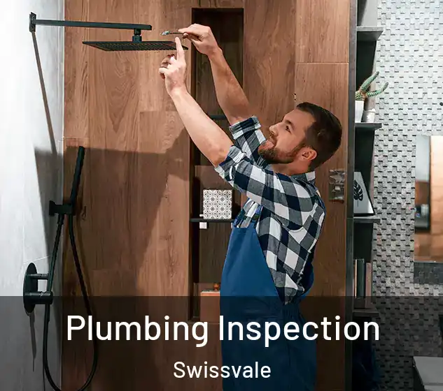  Plumbing Inspection Swissvale