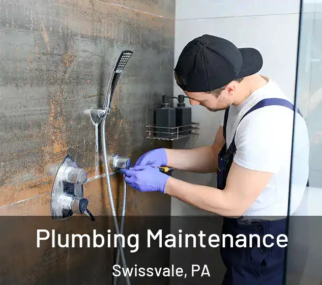  Plumbing Maintenance Swissvale, PA