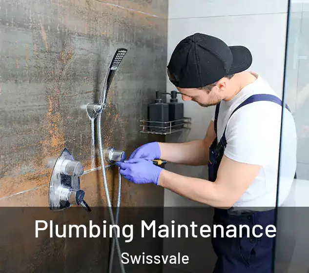  Plumbing Maintenance Swissvale