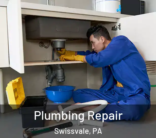  Plumbing Repair Swissvale, PA