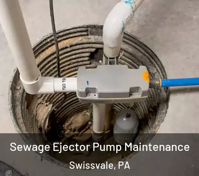  Sewage Ejector Pump Maintenance Swissvale, PA
