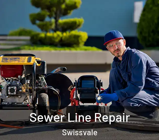 Sewer Line Repair Swissvale