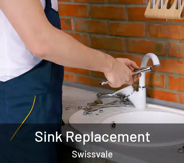  Sink Replacement Swissvale