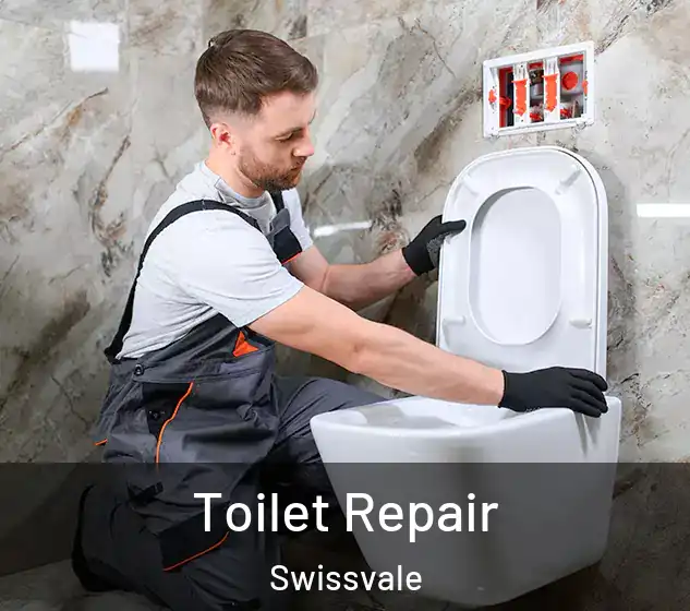  Toilet Repair Swissvale