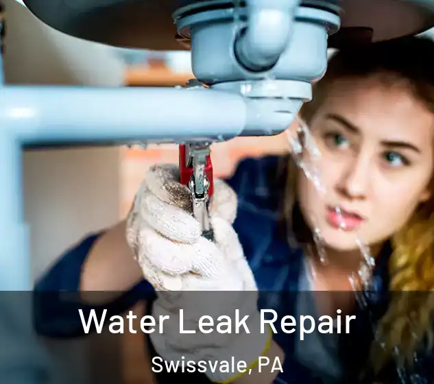  Water Leak Repair Swissvale, PA
