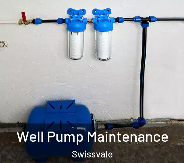  Well Pump Maintenance Swissvale
